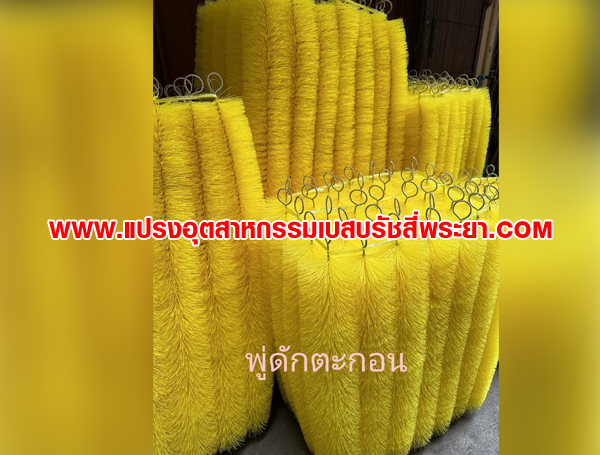 แปรงพู่