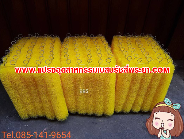 แปรงพู่กรองบ่อปลา