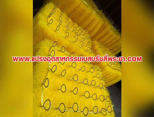 แปรงพู่กรองบ่อปลาคาร์ฟ