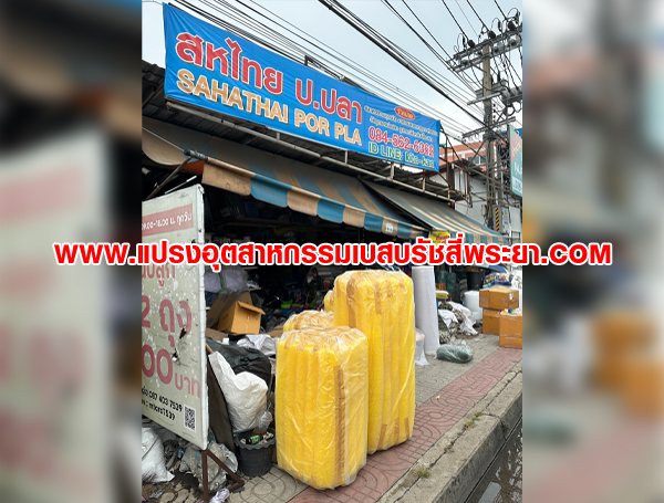 แปรงพู่